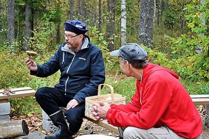 Miehet tutkii sieniä