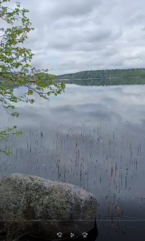 Kurkijärvi